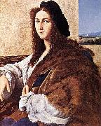 Portrait of a Youth Raffaello